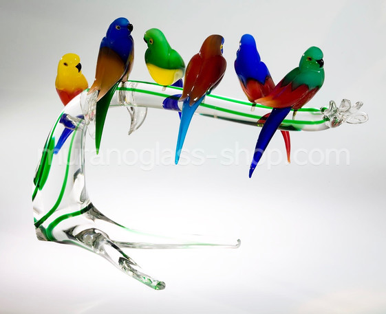 Little parrots, Six little-parrot on branch