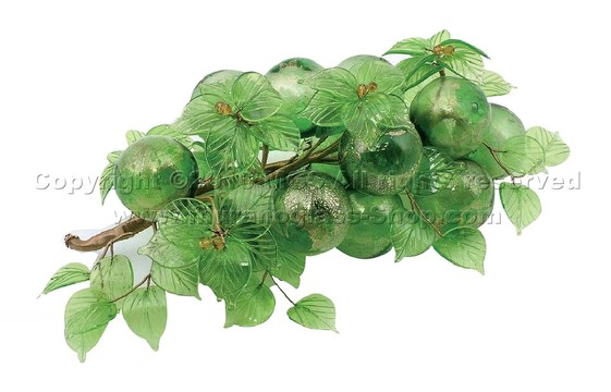 Blown grape bunch with flower branch, Blown grapes bunch with 16 grains