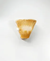 Sudblasted amber wall lights