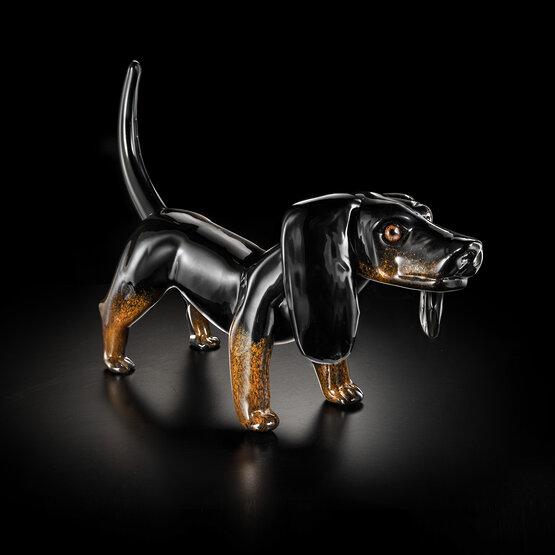 Dachshund, Dachshund black color