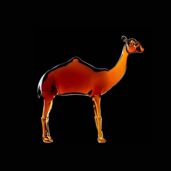 Camel, Standing amber camel