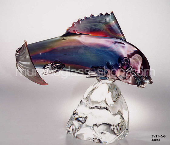 Scorpion fish, Scorpion fish