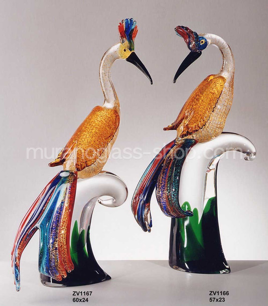 Paradise birds, Paradise's bird