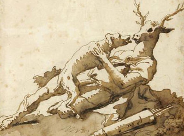 Metamorfosi di Atteone